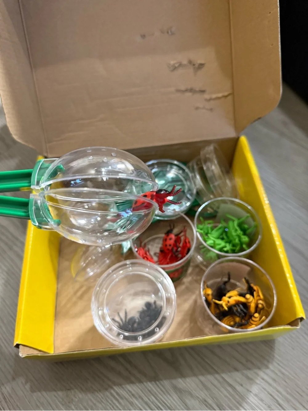 Scoop-A-Bug Sorting Kit, model JJ247